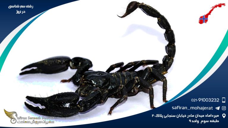 رشته سم شناسی در نروژ