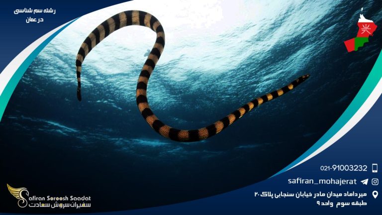 رشته سم شناسی در عمان