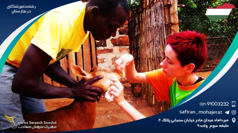 رشته دامپزشکی در مجارستان