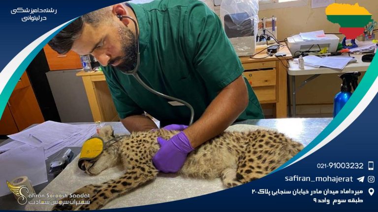 رشته دامپزشکی در لیتوانی