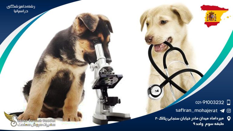 رشته دامپزشکی در اسپانیا