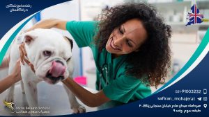 رشته دامپزشکی در انگلستان