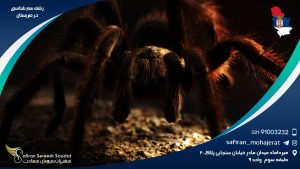 رشته سم شناسی در صربستان