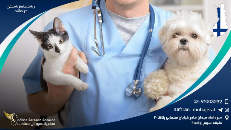 رشته دامپزشکی در فنلاند