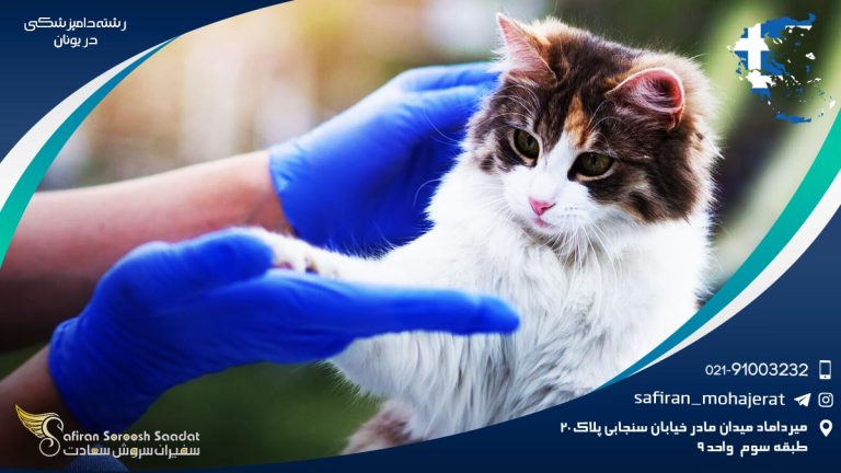 رشته دامپزشکی در یونان