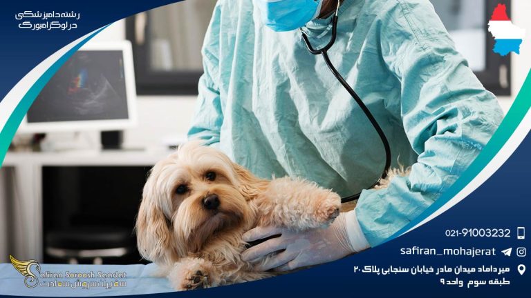 رشته دامپزشکی در لوکزامبورگ