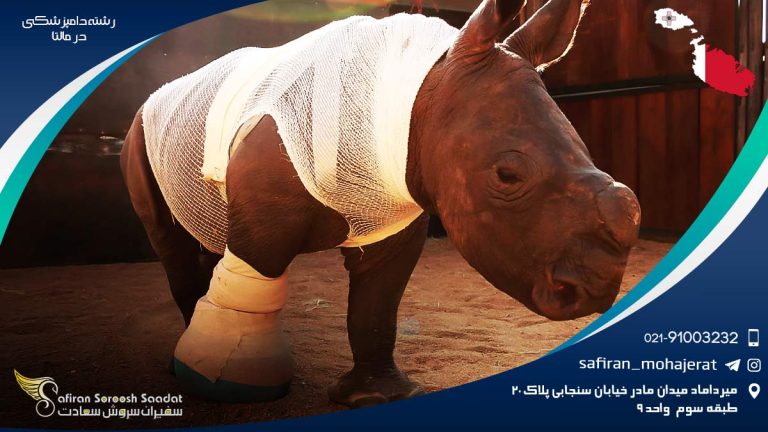 رشته دامپزشکی در مالتا