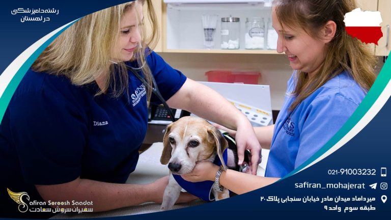 رشته دامپزشکی در لهستان