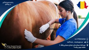 رشته دامپزشکی در رومانی