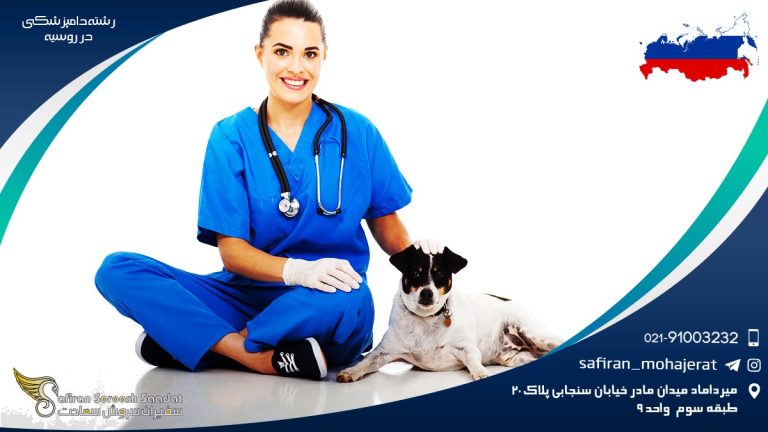 رشته دامپزشکی در روسیه