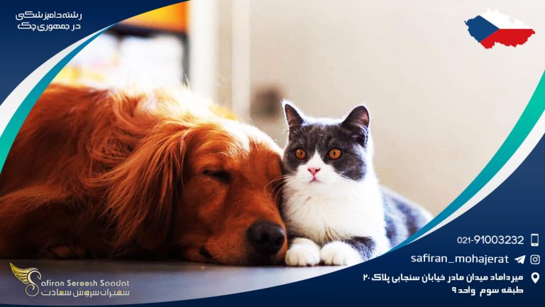 رشته دامپزشکی در جمهوری چک