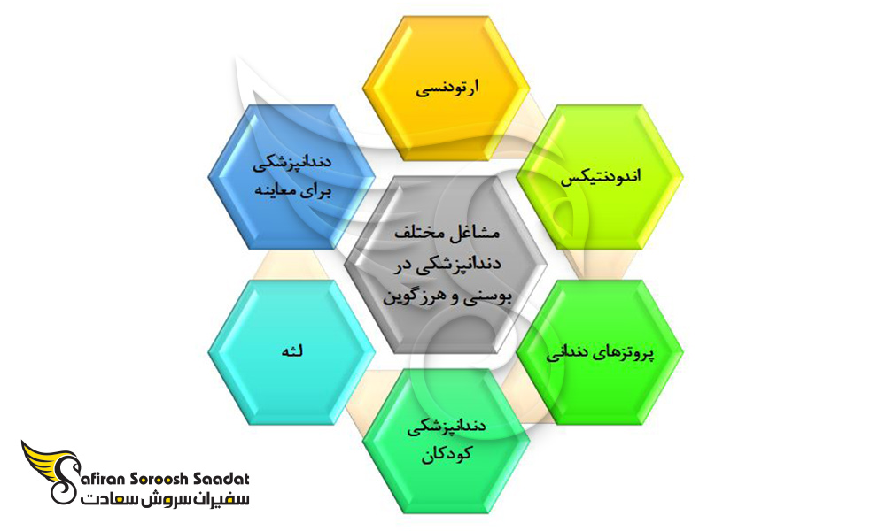 فرصت های شغلی برای تحصیل دندانپزشکی در بوسنی و هرزگوین