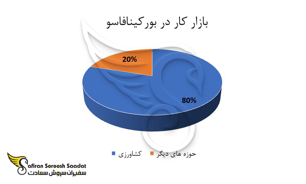 بازار کار در بورکینافاسو در حوزه های مختلف