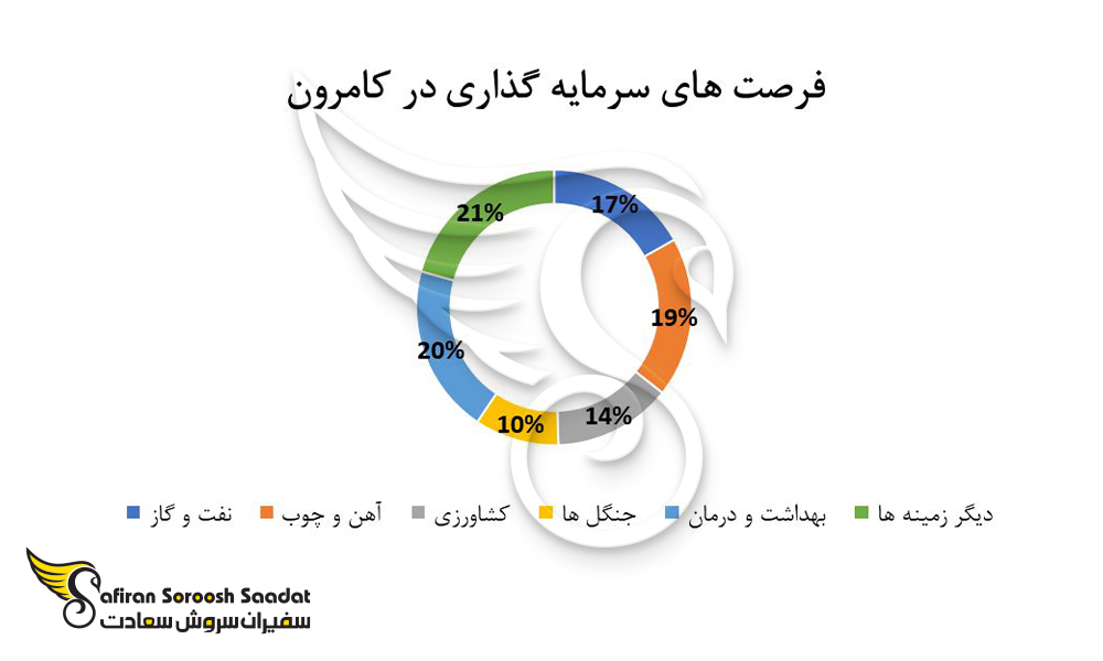 مزایای سرمایه گذاری در کامرون