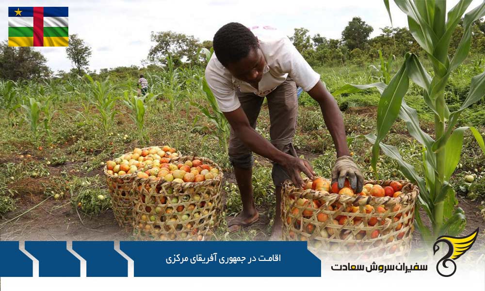 مدارک لازم برای اقامت کوتاه مدت در جمهوری آفریقای مرکزی