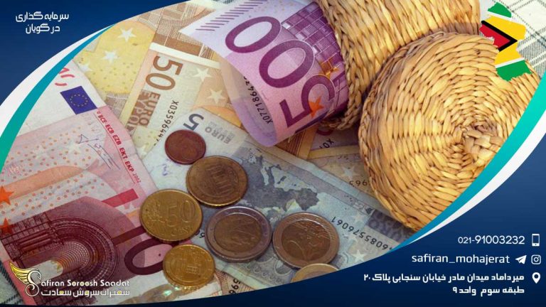 سرمایه گذاری در گویان