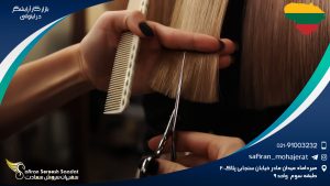 بازار کار آرایشگر در لیتوانی