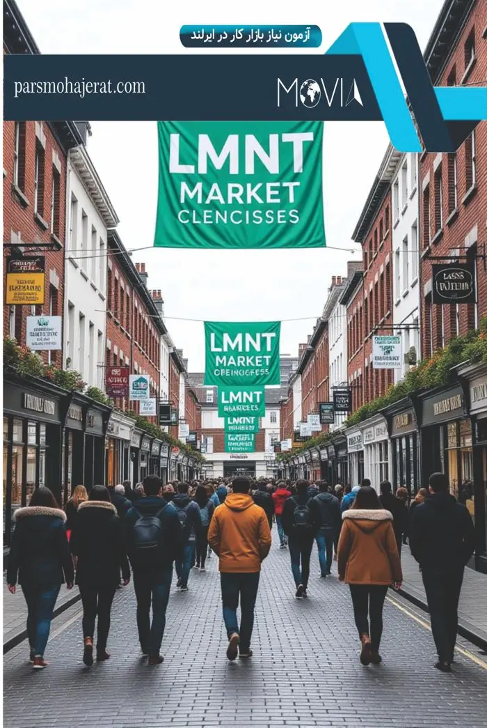 آزمون نیاز بازار کار در ایرلند LMNT